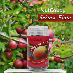 Nut Candy Sakura Plum 200G